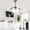 Brushed Nickel, variant on Cusp Barn 36" Modern Black Retractable Ceiling Fan with Lights and Remote, 6 Speeds Fandelier Ceiling Fan for Bedroom
