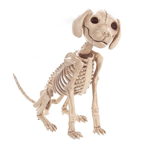 Décoration d'Halloween Animaux Squelette Os Décoration Effrayante Chauve-Souris Araignée Décoration