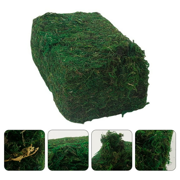 WHAMVOX Moss for Planters 1 Pc in Green 28x27cm