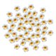 thumbnail image 1 of 50 piezas de accesorios de flores de plumeria artificiales, pasadores de pétalos para fiestas y hogar. Diámetro 8 cm, 1 of 8