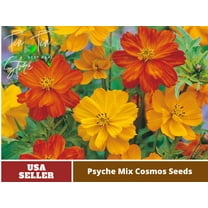 50  Seeds| Cosmos Seeds - Polidor Mix Flower Seeds For Planting In The Garden [BUY 3 GET 1 FREE] #L005