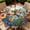Bird, variant on Outdoor Tablecloth with Umbrella Hole and Zipper Waterproof Round Fitted Tablecloth with Elastic Edge, Wipeable Outdoor Table Cover for Patio, Garden, Picnic Size 36"-65" Round Tables