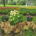 thumbnail image 7 of DeWitt Natural Burlap Roll 5.5 oz, Versatile Use Medium-Weave Jute Fabric, 4 x 250 Feet, 7 of 7