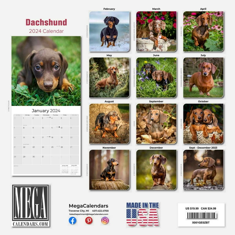 Dachshund 2025 Calendars For Sale 2021 adah kylila