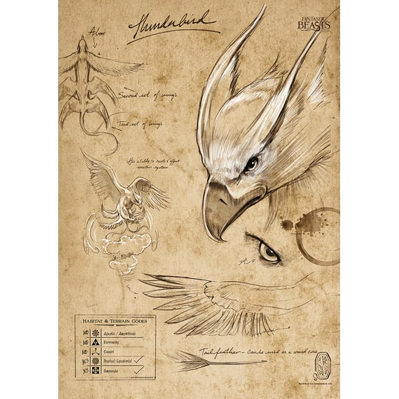 Fantastic Beasts And Where To Find Them (Thunderbird Sketchbook) MightyPrint™ Wall Art