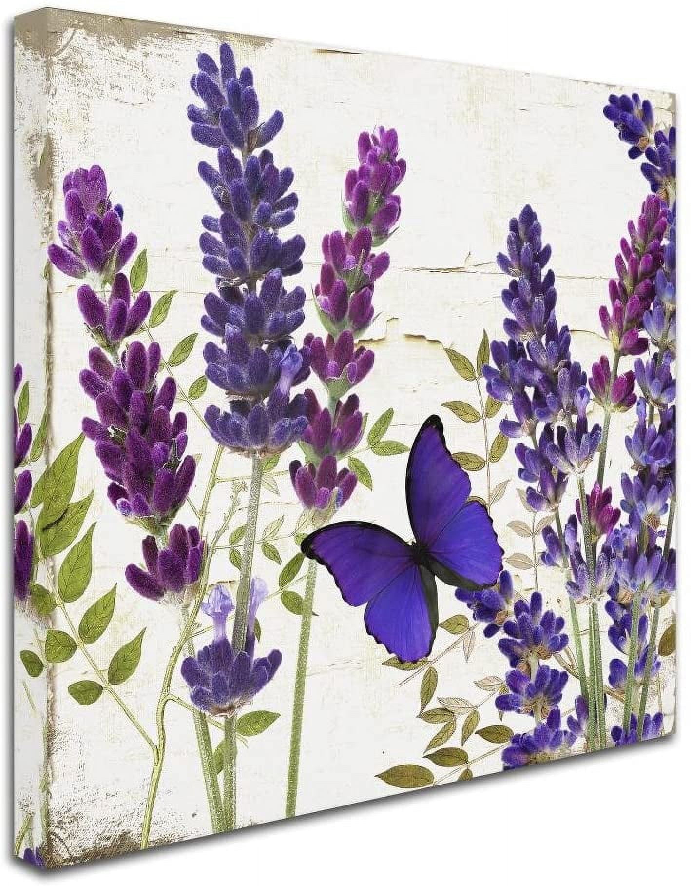 Trademark Fine Art "Lavender I" Canvas Art by Color Bakery