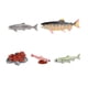thumbnail image 4 of Ciclo de vida de juguetes de salmón, conjunto de ciclo de crecimiento Animal, herramientas de enseñanza de ciencias, figuritas de animales de granja Marrón, 4 of 8
