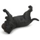 thumbnail image 5 of Modelo de animal en miniatura decoración de modelo animal modelo de mastín napolitano miniatura de simulación para educación infantil niños ANGGREK Otros, 5 of 8