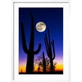 thumbnail image 2 of Art.com Moon over Saguaro Cactus (Carnegiea Gigantea), Tucson, Pima County, Arizona, USA Photographic Print, White Frame Wall Art, 21" x 29", 2 of 5