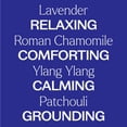 thumbnail image 4 of Plant Therapy Relaxation Synergy Set 100% Pure, Undiluted, Natural Aromatherapy, 4 of 9
