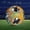 Black and Yellow, variant on Holographic Soccer Ball Size 5 with Pump Reflective Glow Soccer Ball PU Leather Soccer Ball for Youth,Adult,Indoor-Outdoor Soccer Gifts