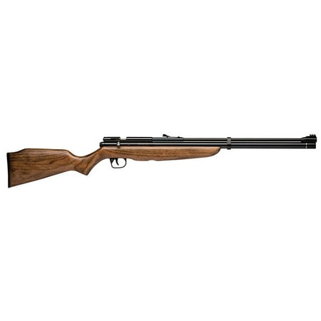 Benjamin Discovery .22 Caliber PCP Rifle, (Best Pcp Rifle 2019)