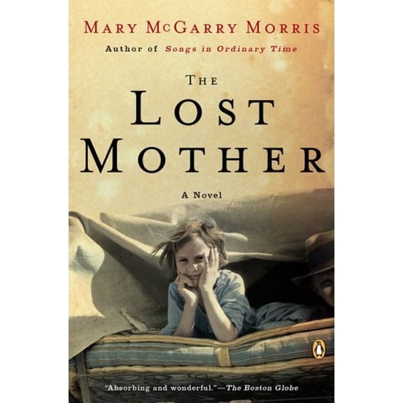 Pre-Owned The Lost Mother Paperback