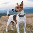 thumbnail image 3 of Dog Collar for Small Medium Dogs,  Adjustable Reflective Wide Heavy Duty Pet Collars with Safety Locking Buckle for Walking, 3 of 9