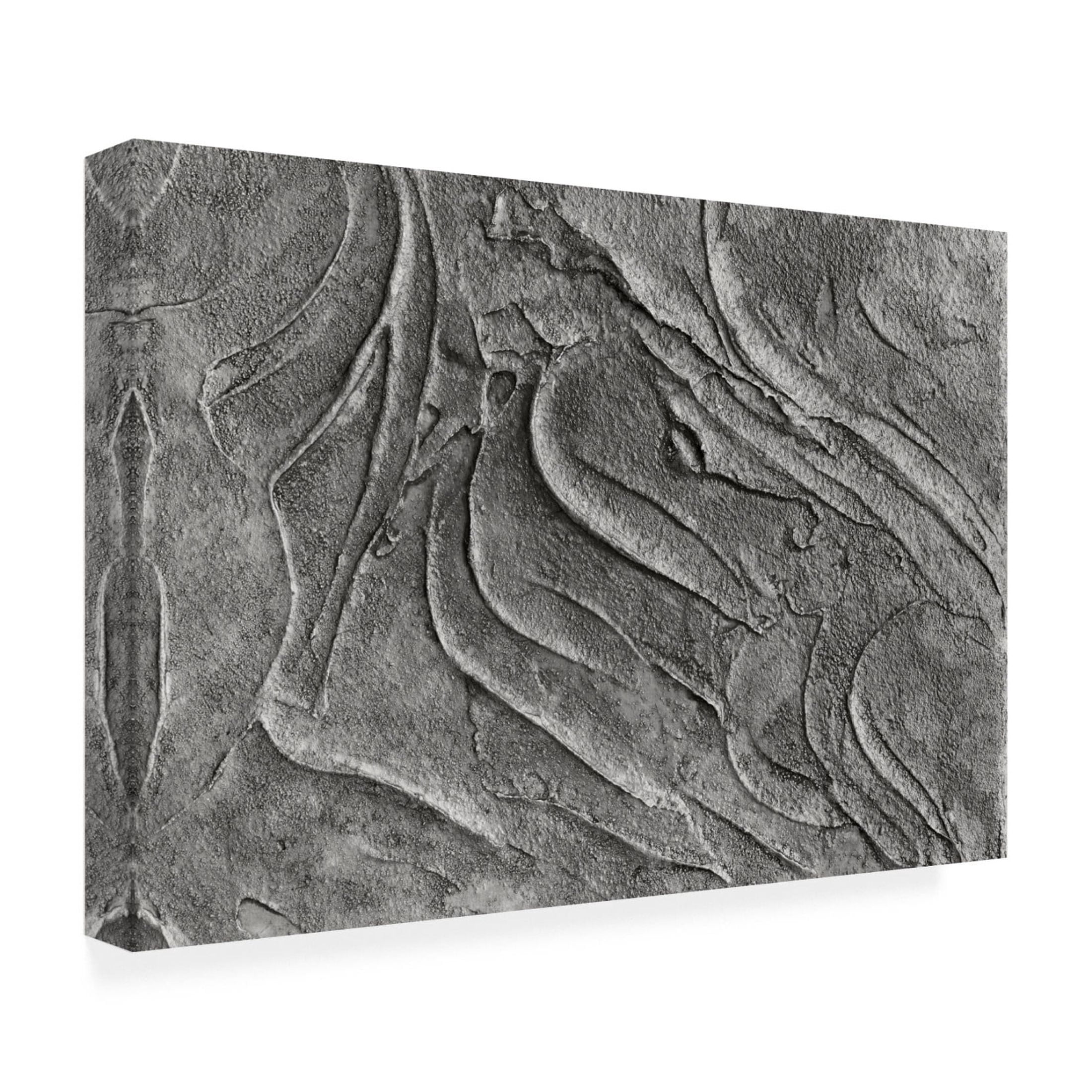 Canvas Wall Art - Bilge Paksoylu 'Tex1 1 Grey Dsc4506' Wall Art for Living Room, Bedroom, or Office D?cor by Trademark Fine Art - 19 x 12 Inches