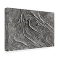 thumbnail image 4 of Canvas Wall Art - Bilge Paksoylu 'Tex1 1 Grey Dsc4506' Wall Art for Living Room, Bedroom, or Office D?cor by Trademark Fine Art - 32 x 22 Inches, 4 of 4