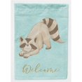 thumbnail image 1 of Carolines Treasures BB8569GF Raccoon Welcome Flag Garden Size, 1 of 3