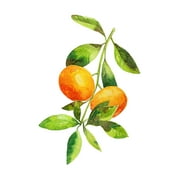 Fruit Wall Decor fruit wall decor Fruit Wall Decor fruit wall decor
