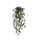 thumbnail image 2 of Decoración de pared de vegetación artificial colgante | Planta colgante de pared de enredadera de plástico realista con follaje exuberante y cascada | Jardín vertical de acento de pared de falso, 2 of 8