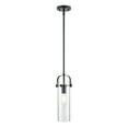 thumbnail image 3 of Innovations Lighting  Pilaster II Cylinder - 1 Light 12" Stem Hung Pendant Seedy/Matte Black, 3 of 5