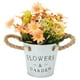 thumbnail image 1 of Artificial Potted Plant, Silk Flower Artificial Daisy Pot Beautiful Exquisite For Woman For Gardens ANGGREK Otros, 1 of 8