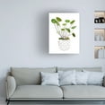 thumbnail image 3 of Melissa Wang 'Plant in a Pot II' Canvas Art, 3 of 3