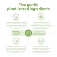 thumbnail image 3 of Barra limpiadora ANDREW LESSMAN PhAct, pepino rico en humedad, 125 ml, 3 of 8