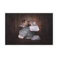 thumbnail image 1 of Cute Calico Bathee Canvas Wall Art for Home Decor Ready-to-Hang, 1 of 7