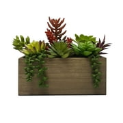Better Homes & Gardens 7.5" Artificial Mixed Succulent Plants in Brown Wood Box