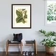 thumbnail image 3 of Art.com Fantastical Botanical IV Art Print by Vision Studio, Brown Frame Wall Art, 32" x 40", 3 of 5