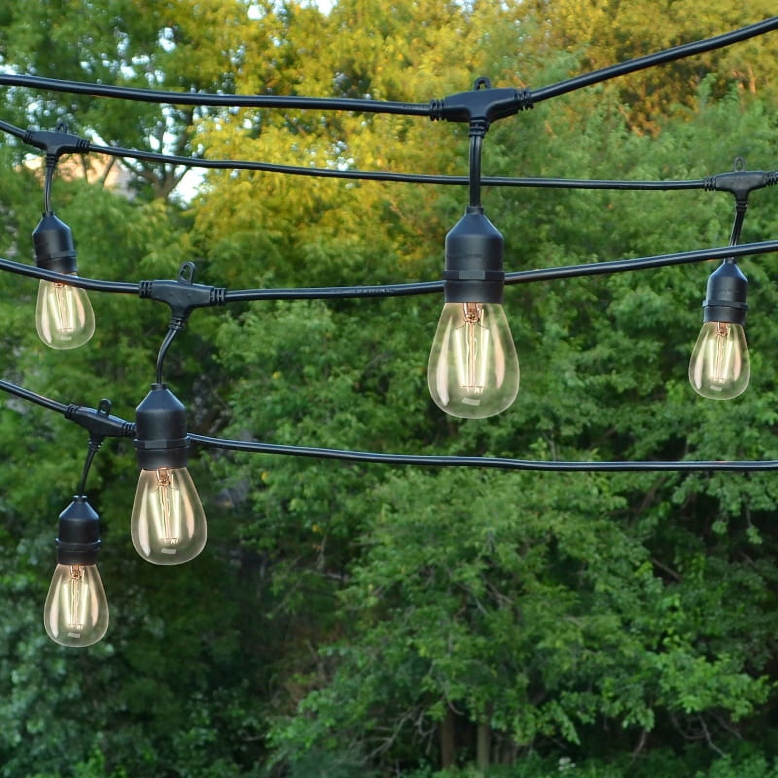 Living accents 2024 edison lights