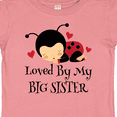 thumbnail image 4 of Inktastic Little Sister Ladybug Girls Baby T-Shirt, 4 of 5