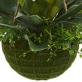 thumbnail image 3 of Nearly Natural 13" Agave and Maiden Hair Artificial Plant in Hanging Basket, Green, 3 of 5