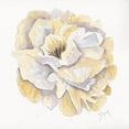 thumbnail image 3 of Dyer, Beverly 15x15 Black Modern Framed Museum Art Print Titled - Backyard Peony I, 3 of 5