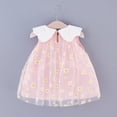 thumbnail image 3 of Fesfesfes Toddler Baby Girls Dress Sleeveless Embroidery Floral Tulle Princess Dress, 3 of 9