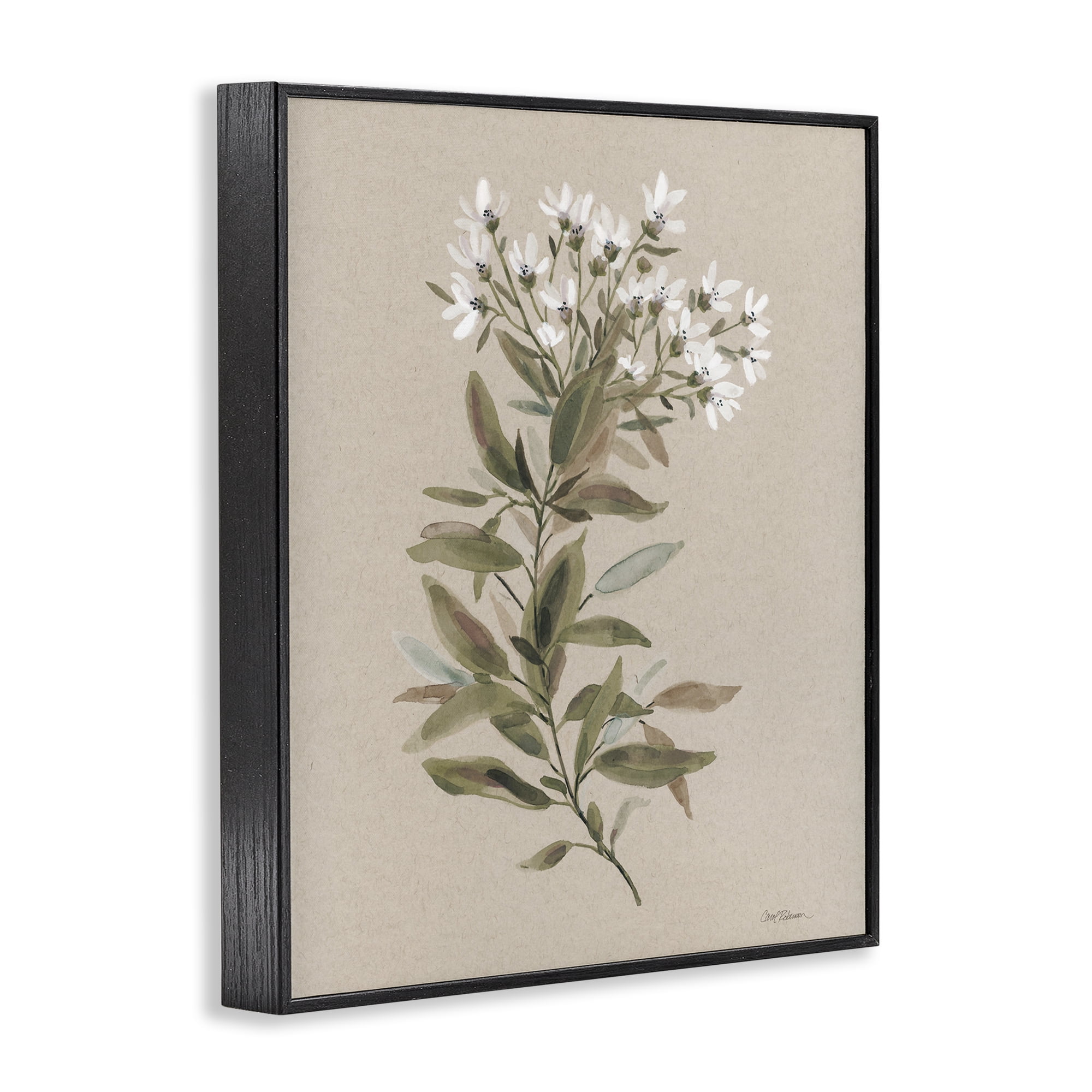 Stupell Industries Watercolor Wildflower Sprig Botanical & Floral Painting Black Framed Art Print Wall Art, 11 x 14