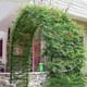 thumbnail image 4 of Soporte de plantas de enrejado de arcos de jardín para decoración de fiesta de ceremonia de boda de Tomshoo  Negro, 4 of 7