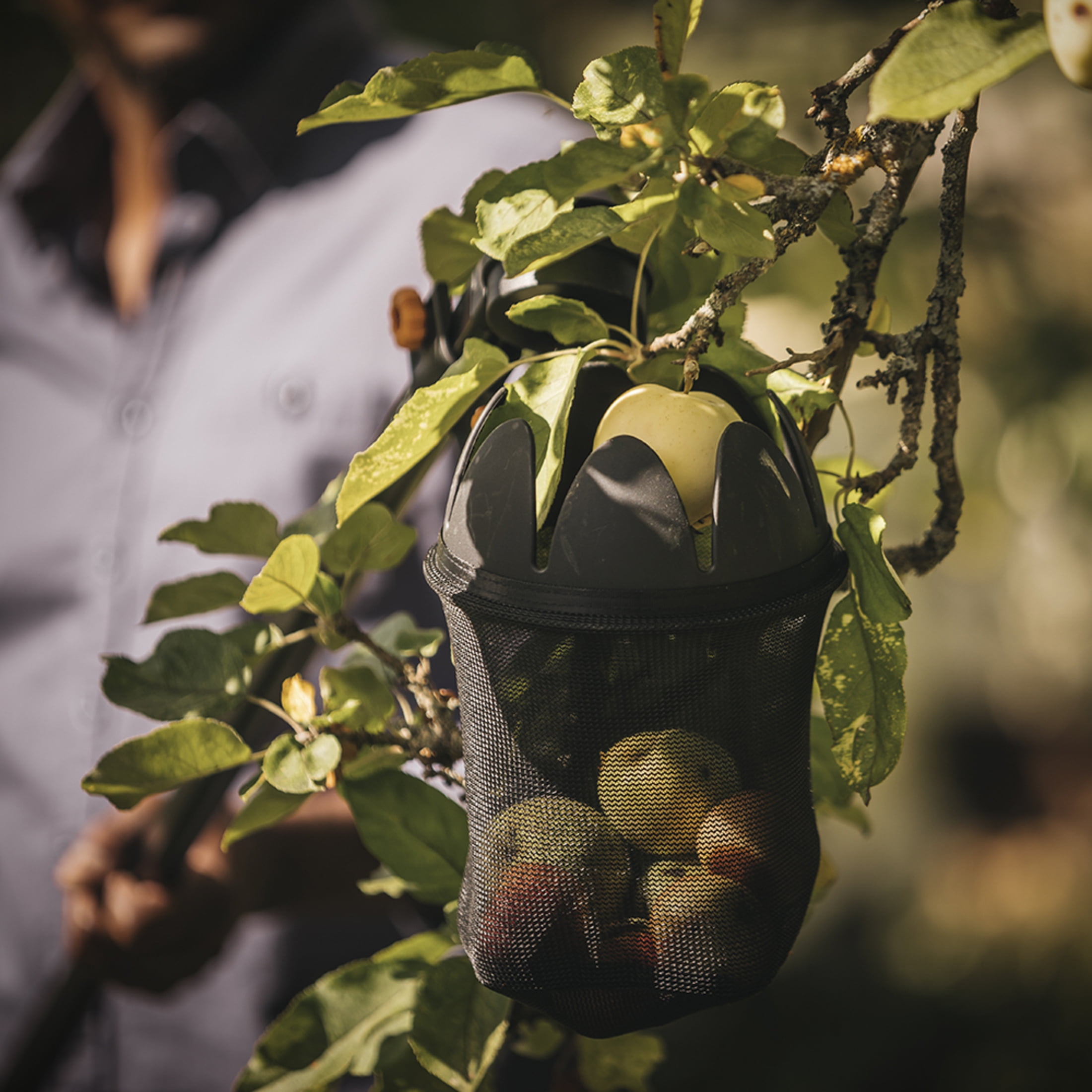 Fiskars Fruit Picker Basket