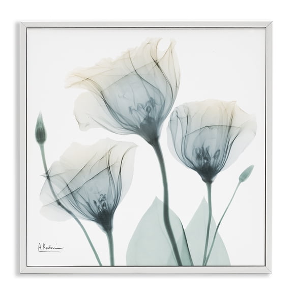 Stupell Industries Contemporary Soft Opaque Tulips White Framed Giclee Art, 24 x 24, by Albert Koetsier