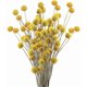thumbnail image 1 of 30pcs Dried Flowers Real Natural Artificial Flowers Artificial Flowers 26-27s, 1 of 4