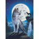 thumbnail image 1 of Taladro Diamante Pintura (DE3281) 5D DIY Bordado de punto de cruz completo (Animal-W161) 30x40cm Hugtrwg Para estrenar, 1 of 1