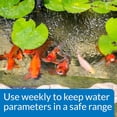 thumbnail image 6 of API PondCare Pond Master Test Kit Liquid Water Conditioner Fast Easy Accurate, 6 of 7
