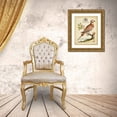 thumbnail image 3 of Edwards, George 26x32 Gold Ornate Wood Framed with Double Matting Museum Art Print Titled - Regal Birds I, 3 of 4