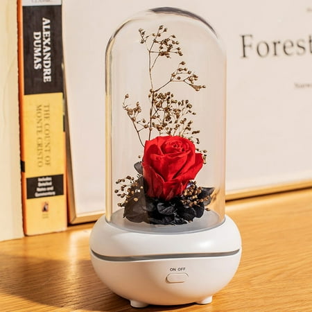 

Floleo Clearance Everlasting Flower Aromatherapy Colorful Light LED Night Light Portable Aromatherapy Lamp Rose Aromatherapy Oil Diffuser Can Be Used As A Gift Rose Aroma