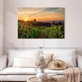thumbnail image 2 of Elephant Stock Willamette Vineyard Wall Art - Horizontal Canvas Wall Art - Living Room Wall Decor - Nature Canvas - Green And Brown Decor - 45" x 30", 2 of 8