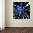 thumbnail image 4 of Trademark Fine Art "Low Life" Canvas Art by Philippe Sainte-Laudy, 4 of 4