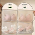 thumbnail image 6 of Clothing Storage Hanging Bag Mesh Organizer for Closet, Travel, or Dorm - Door Back & Wall Mounted Garment Organizer with Zipper, 6 of 6