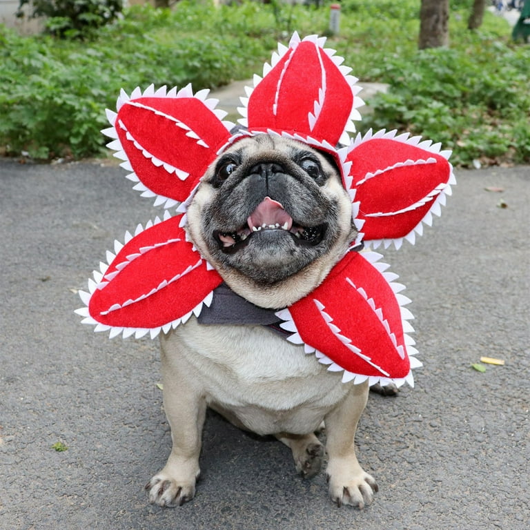 Halloween Costume Flower Petal Dog Cone BT Bear Dog Halloween Hat