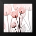 thumbnail image 2 of Koetsier, Albert 15x15 Black Modern Framed Museum Art Print Titled - Blush Luster Tulips, 2 of 5