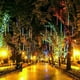 thumbnail image 4 of Uuiauoio Bright LED Hollow Meteor Shower Tube Light String for Holiday Party Wedding Decoration, 4 of 9
